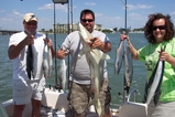 Charter Fishing Tampa Bay | St. Petersburg | Clearwater | Fl