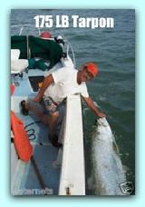 Capt Jay tarpon fishing florida.