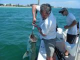 St.Pete Fl Deep Sea Fishing Charters, Deep Sea Charter Fishing St.Petersburg Fl