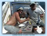 shark fishing on fat cat fishing charters.