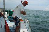 St.Pete Fl Deep Sea Fishing Charters, Deep Sea Charter Fishing St.Petersburg Fl