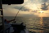 Tarpon Fishing Charters Tampa Bay