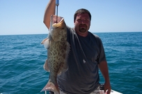 Catching grouper on fat cat fishing charters