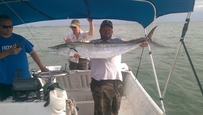 Catching kingfish on St pete fishing charter