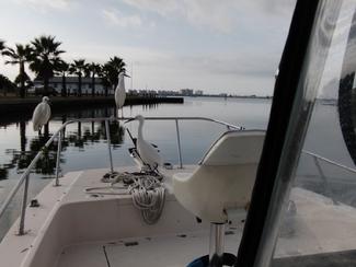 Charter Fishing Tampa Bay | St. Petersburg | Clearwater | Fl